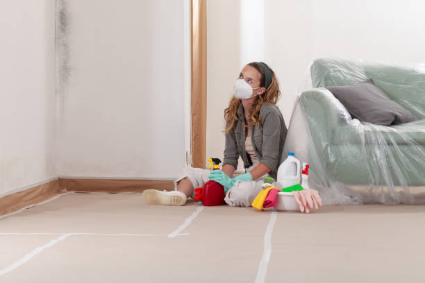 Reliable Mold Remediation contractor in Westville, NJ by 24 Hour Mold Removal